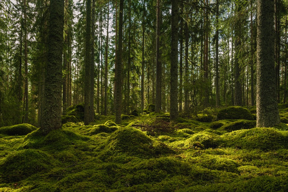 AdobeStock_330709801-960x640