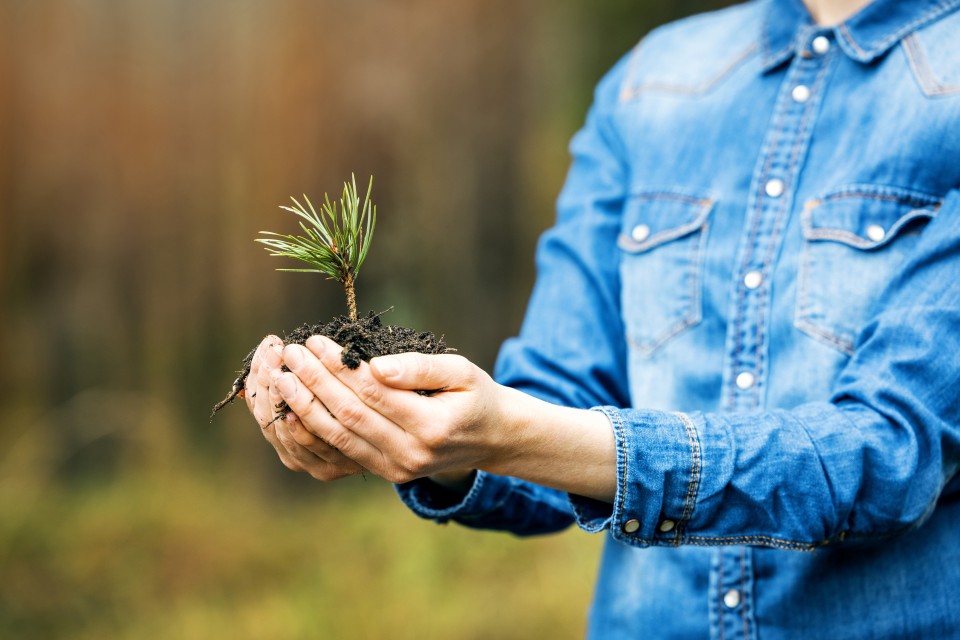 AdobeStock_430365412-960x640