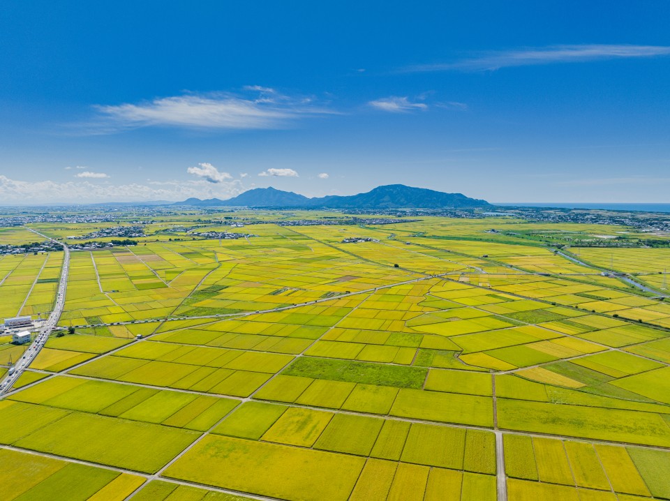 AdobeStock_578891448-960x718